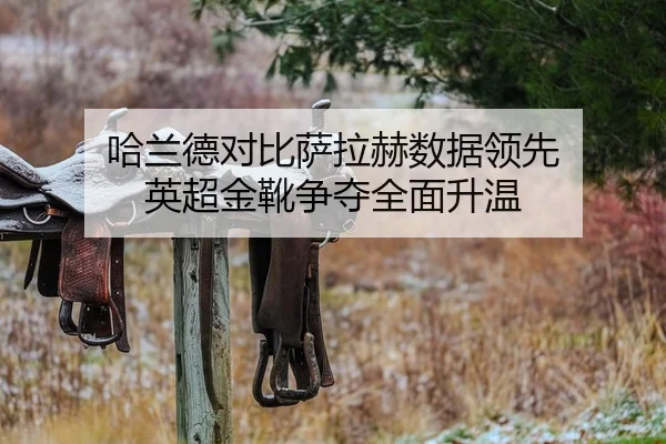 哈兰德对比萨拉赫数据领先 英超金靴争夺全面升温